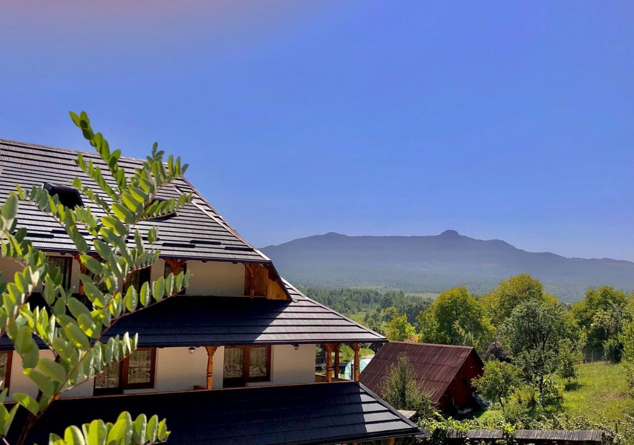 Pensiunea Roca Maramures Desesti Luaran gambar